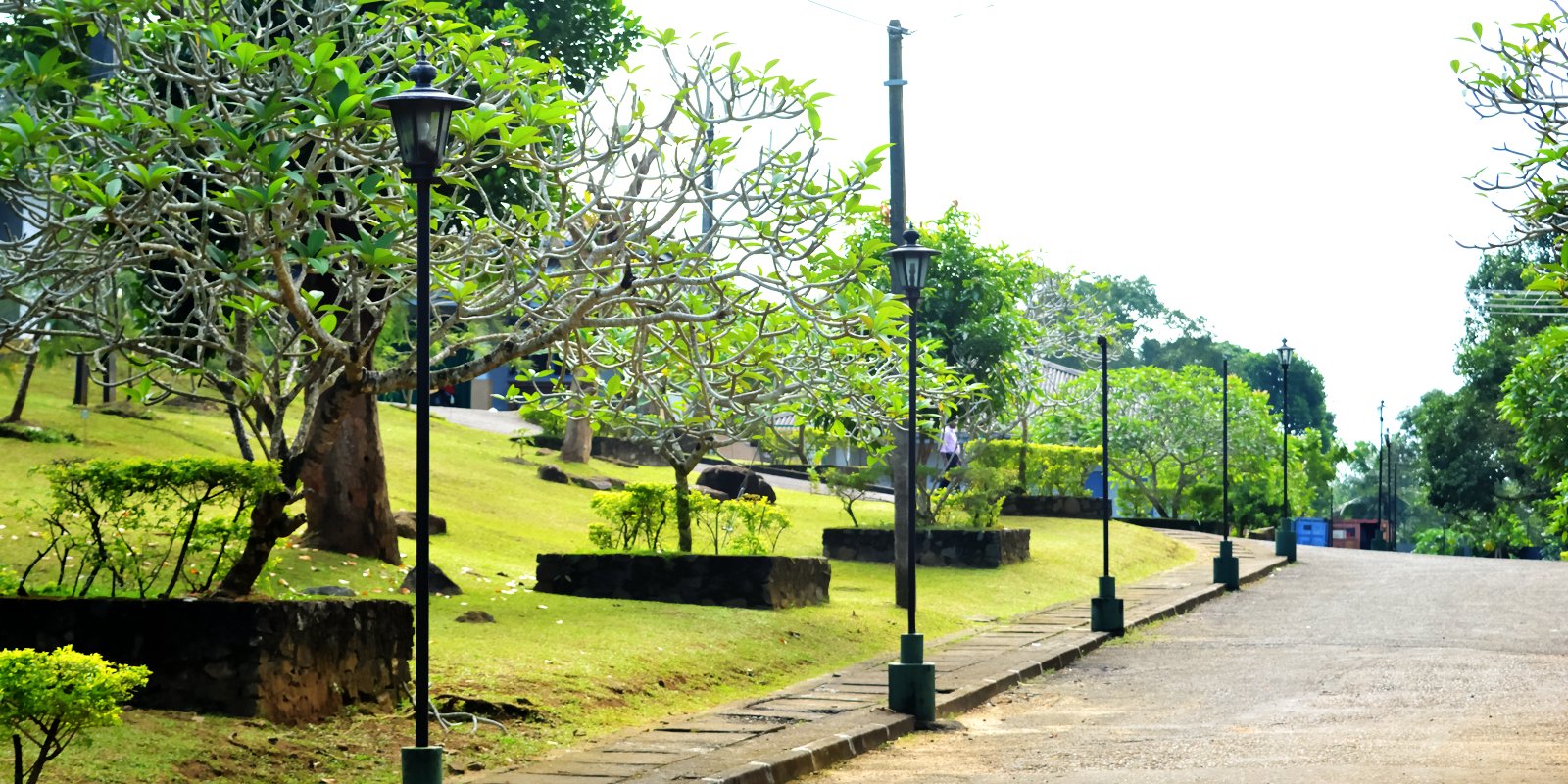 Welcome to ATI Galle